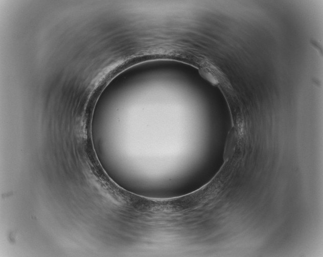 X0000102820628200808181246