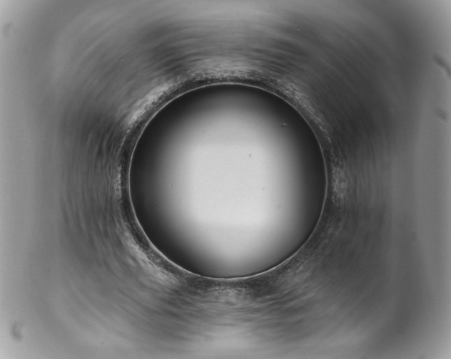 X0000102820629200808181246