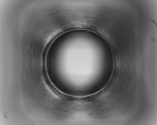 X0000102820630200808181246