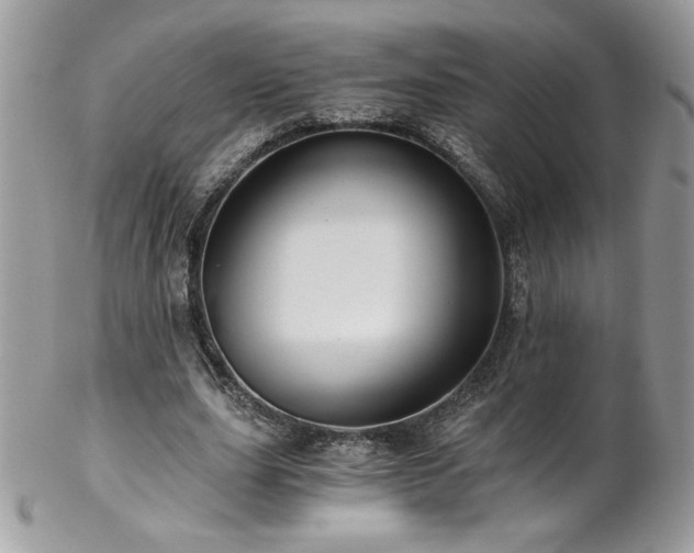 X0000102820631200808181246