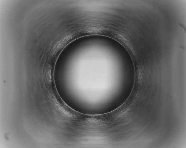 X0000102820633200808181246