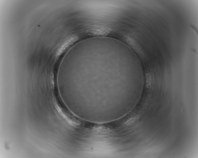 X0000102820634200808181246