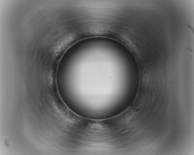 X0000102820635200808181246