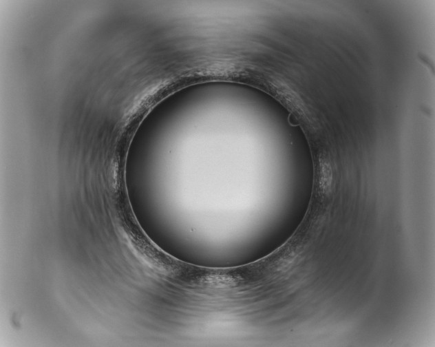 X0000102820636200808181246