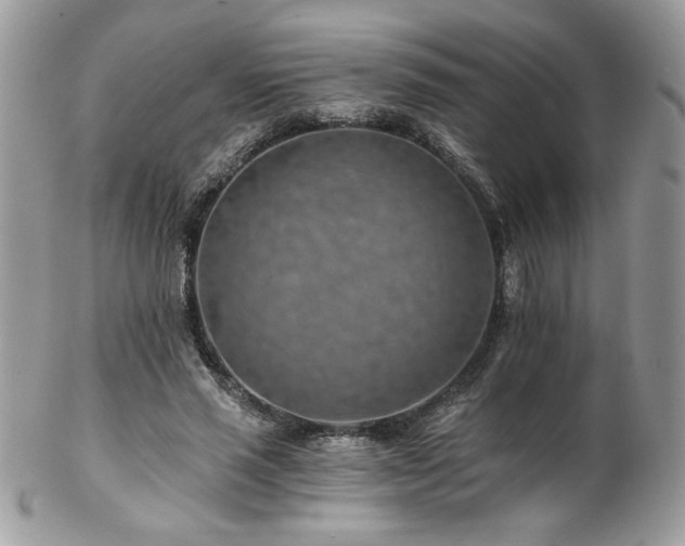 X0000102820637200808181246