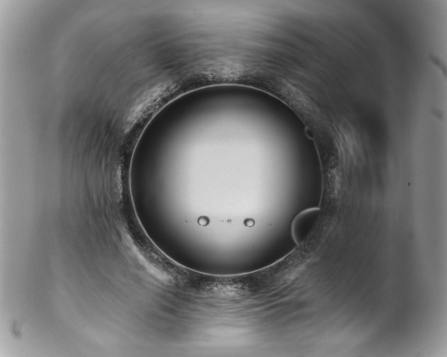 X0000102820638200808181246