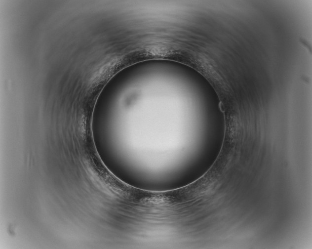 X0000102820639200808181246