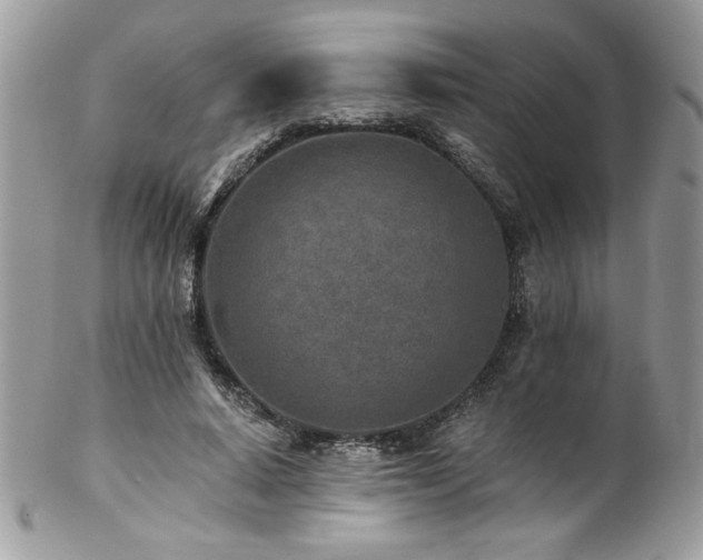 X0000102820640200808181246