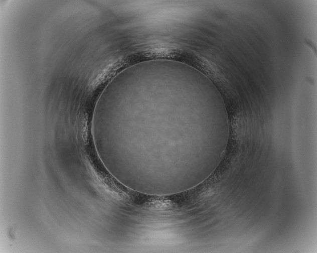 X0000102820642200808181247