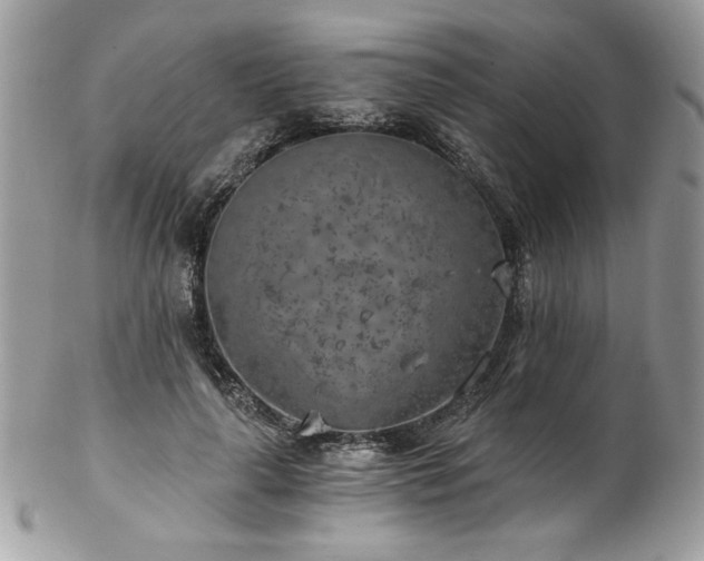 X0000102820643200808181247