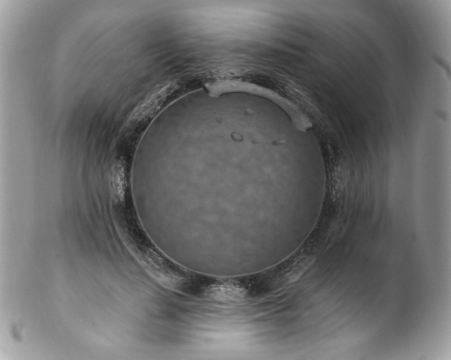 X0000102820644200808181247