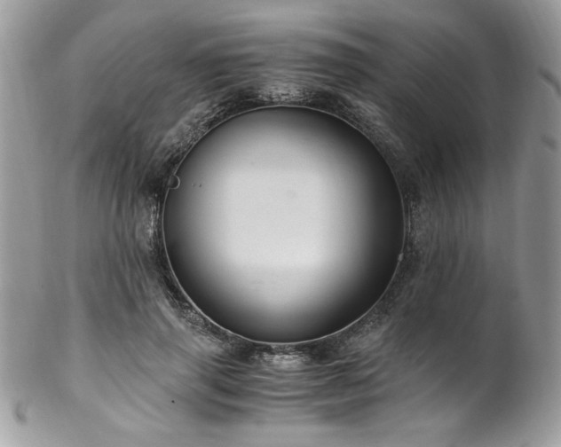 X0000102820645200808181247