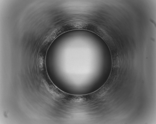 X0000102820646200808181247