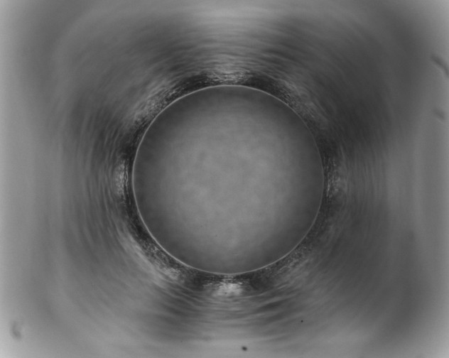 X0000102820647200808181247