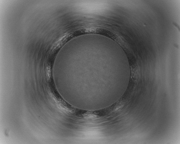 X0000102820648200808181247