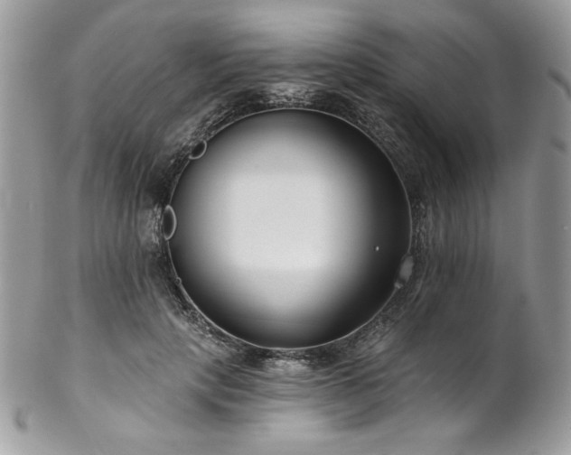 X0000102820649200808181247