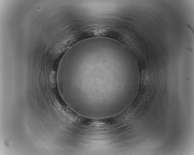 X0000102820650200808181247