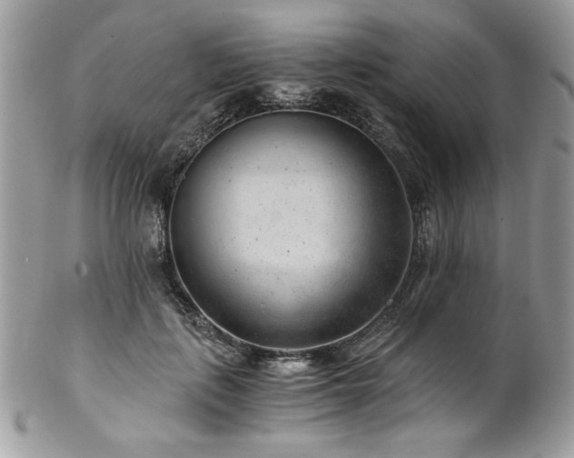 X0000102820651200808181247