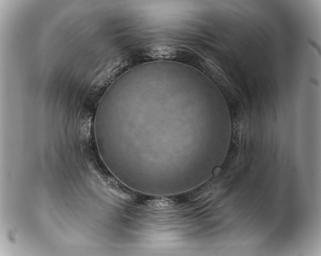 X0000102820652200808181247