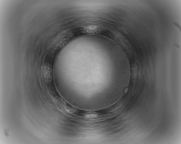 X0000102820653200808181247