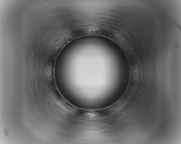 X0000102820654200808181247