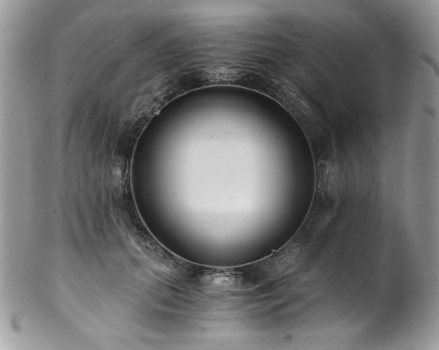 X0000102820655200808181247