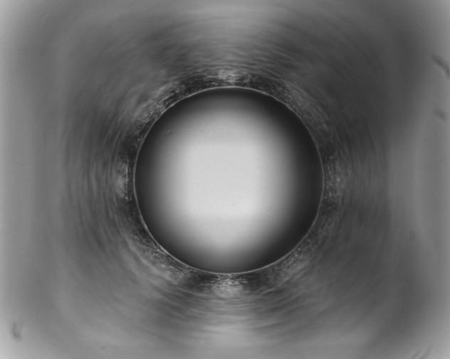 X0000102820656200808181247
