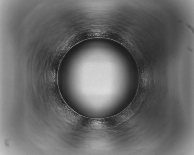 X0000102820657200808181247