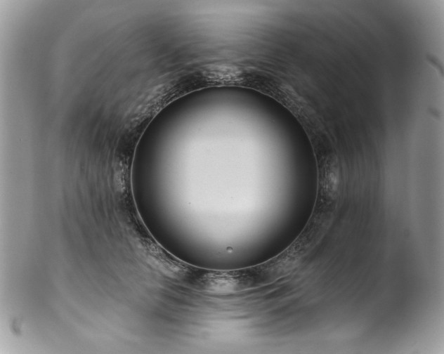 X0000102820658200808181247