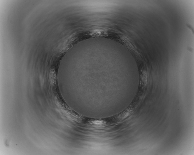 X0000102820659200808181247