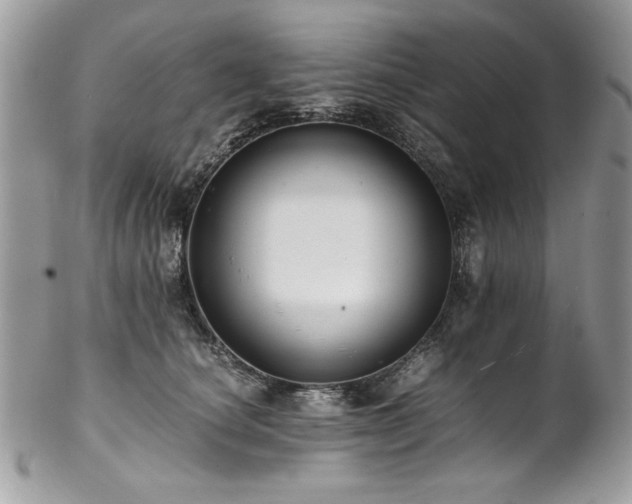 X0000102820660200808181247