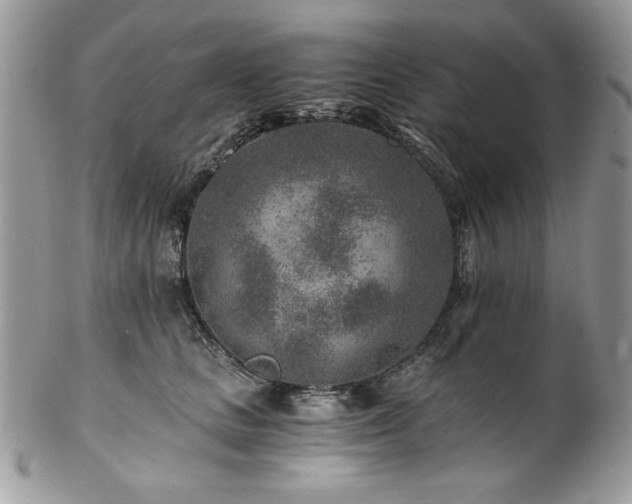 X0000102820661200808181247