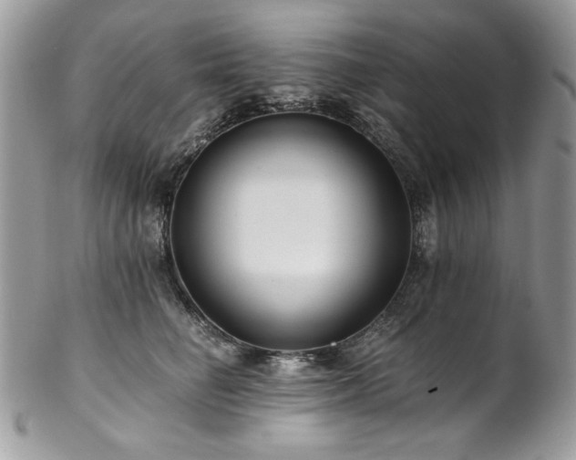 X0000102820662200808181247