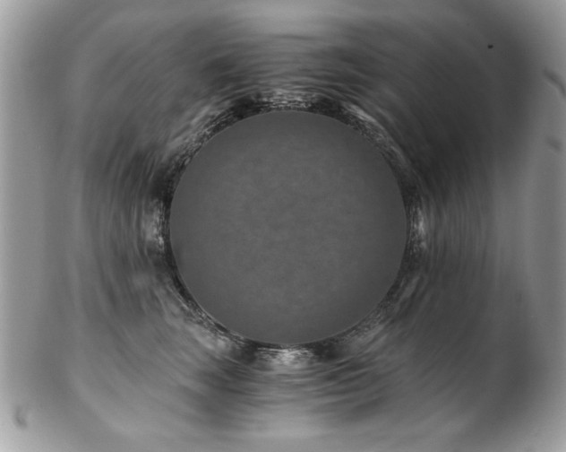 X0000102820663200808181247