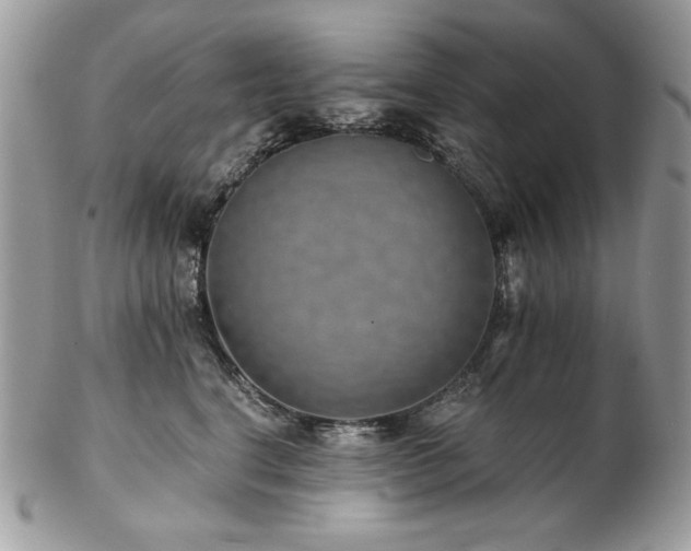X0000102820664200808181247