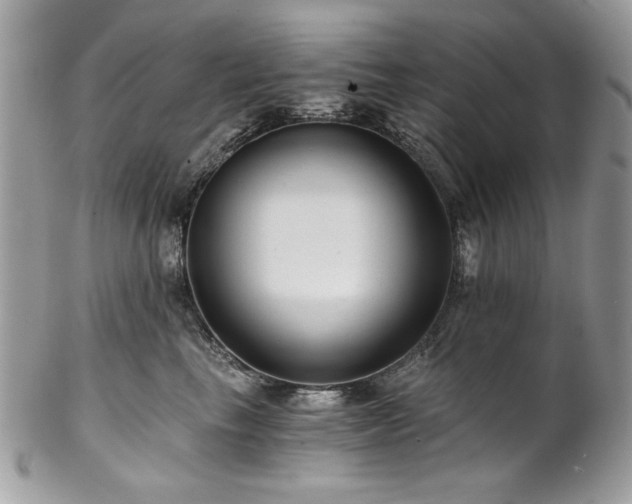 X0000102820665200808181247