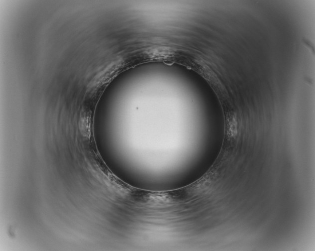 X0000102820666200808181247