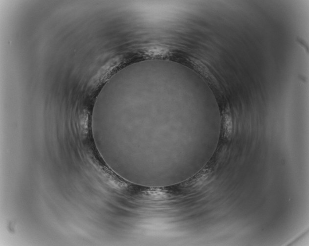 X0000102820668200808181247