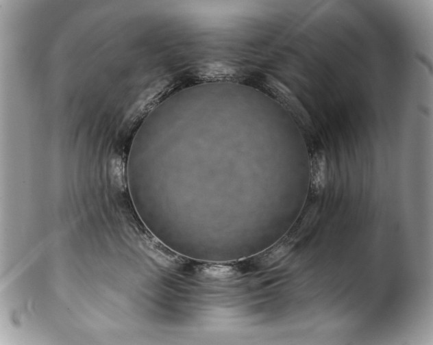 X0000102820669200808181247