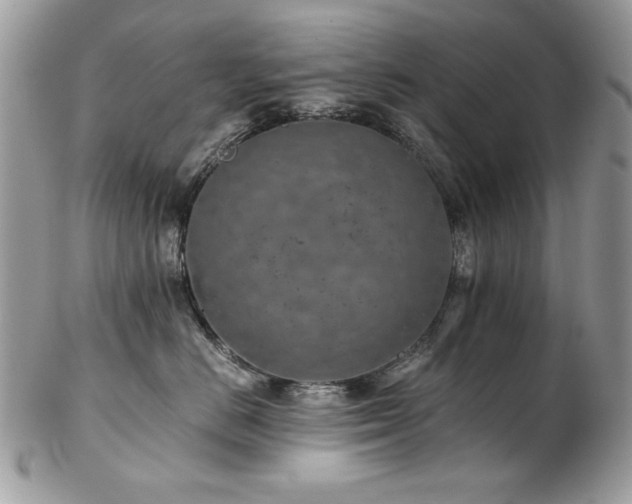X0000102820670200808181247