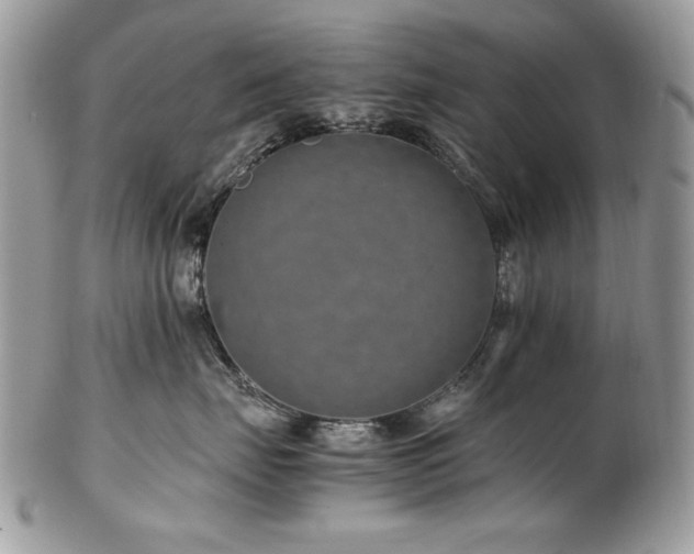 X0000102820671200808181247