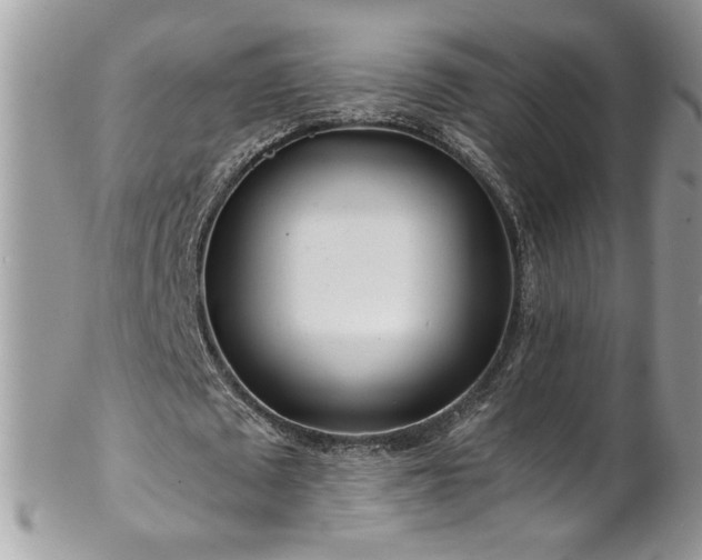 X0000102820673200808181246