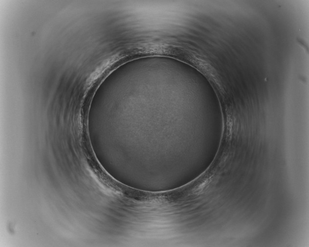 X0000102820674200808181246