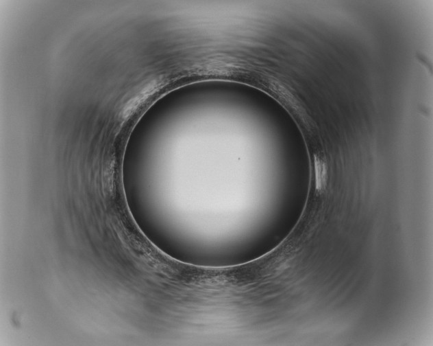 X0000102820675200808181246