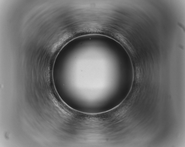 X0000102820677200808181246