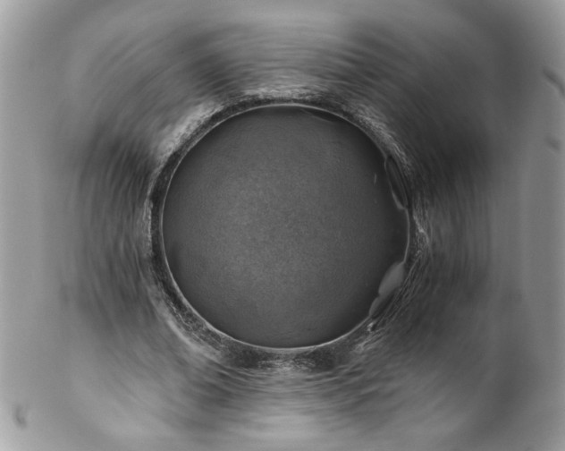 X0000102820678200808181246