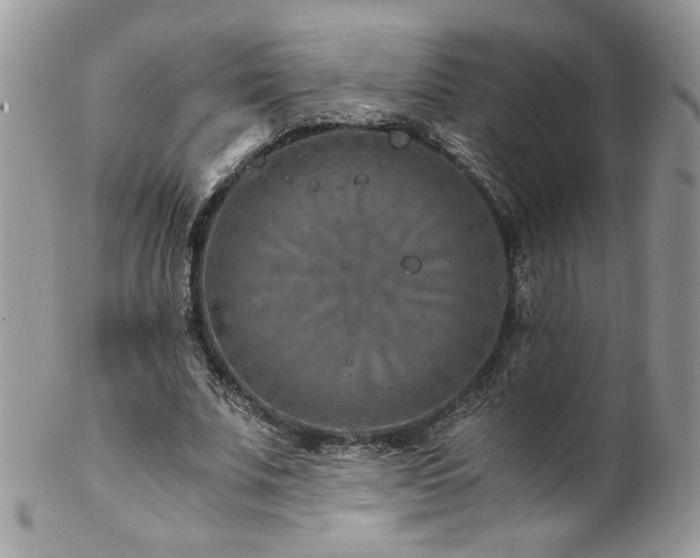 X0000102820679200808181246