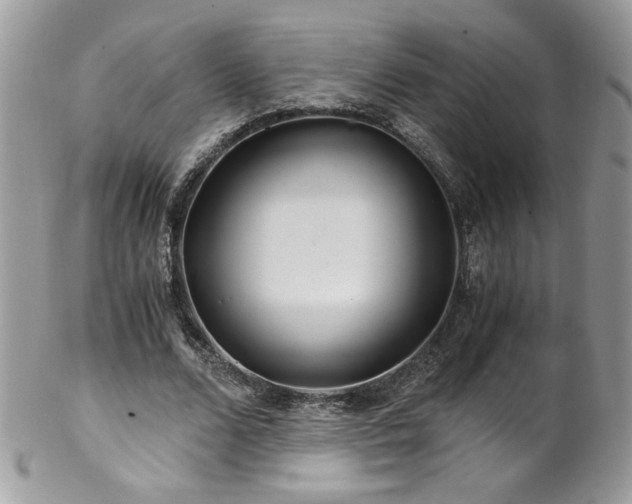 X0000102820680200808181246