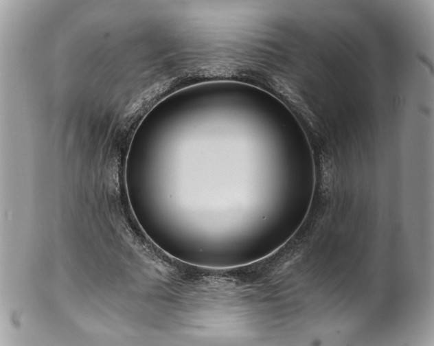 X0000102820681200808181246