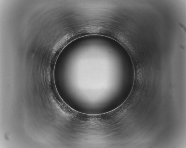 X0000102820682200808181246